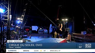 Cirque du Soleil "OVO" comes to Phoenix