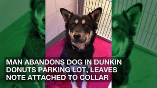 Man Abandons Dog in Dunkin Donuts Parking Lot, Leaves Note Attached to Collar