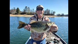 Spotted Bass Fishing catch and release always