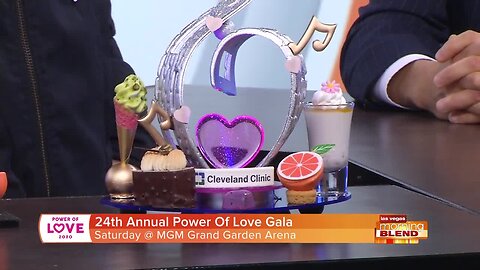 The 24th Annual 'Power of Love' Gala