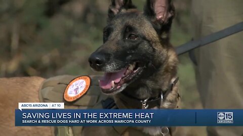 Valley K9s saving lives in extreme heat