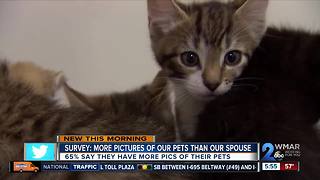 Survey: Pet owners take more pictures of pets than our spouse