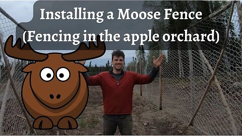 Building a Moose Fence in Alaska | Apple Orchard Build