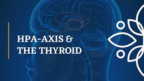 Impact of HPA-Axis Dysfunction on the Thyroid, Mood and Health