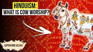 Why Are Cows Holy for Hindus?