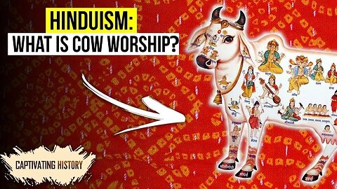 Why Are Cows Holy for Hindus?