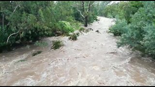 Rain causes flash flooding in Johannesburg (U5k)
