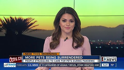 Animal rescue groups struggle with uptick of pet surrenders due to COVID-19
