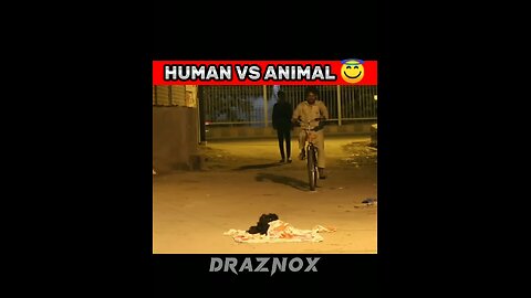 POV:- HUMAN VS ANIMAL😂👻