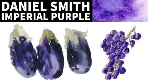 Daniel Smith Imperial Purple Review | Painting Grapes and Eggplants