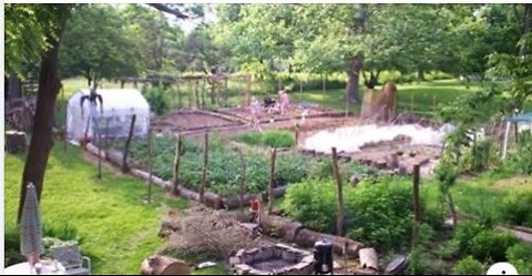 Garden Update and Finished Lime Washed Chicken Coop