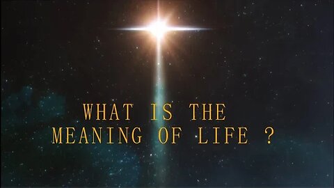 What is the meaning of life? By Rolv Leirro