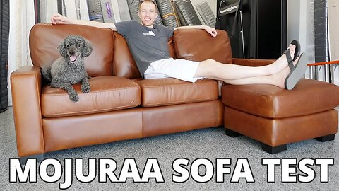 Mojuraa Sofa Review - 5 Real World Tests