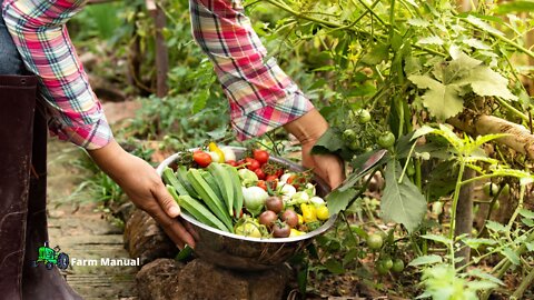 Farm | Harvest