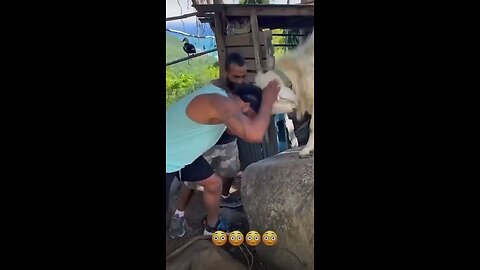 Man v goat