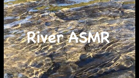 ASMR river meditation Izu Peninsula, Shizuoka, Japan Dec 2020 (short)