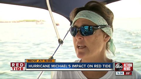 Hurricane Michael gives Anna Maria Island red tide relief