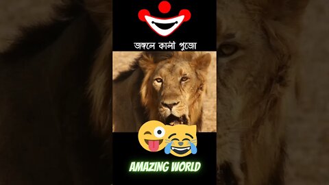 #Funny|lion vs monkey #comedy|Monkey Funny Comedy video,#short, in #Bengali new video|2021