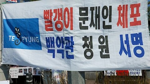 ★문재인을 체포하여 여적죄로 사형하자! 빨갱이 문재인 체포! 박근혜 대통령 복귀! [태평] 210522 토 [태투 대구 49차] 토 오후 2시! 서부정류장 3번 출구