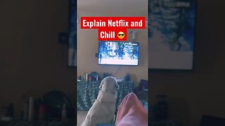 Netflix and Chill #netflix #goldenretriever #ytshorts #shorts