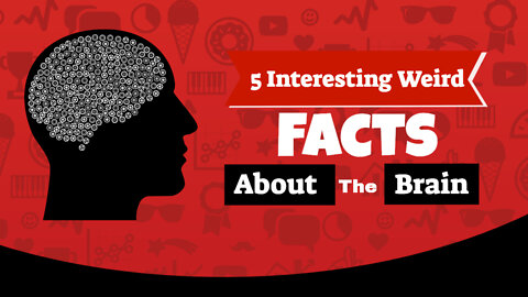 Interesting weird facts about the brain