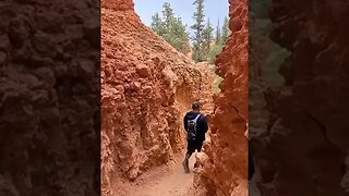 Bryce Canyon NP | Hiking the Navajo Loop & Queen's Garden Trail