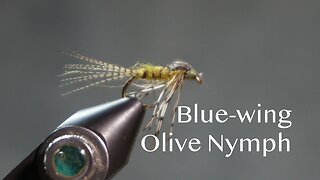Blue-wing Olive Nymph