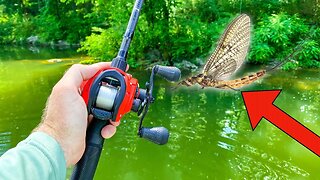 Fishing CRAZY BUG Hatch