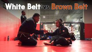 White Belt vs Brown Belt D.Gomez | Circadian MMA (10-17-2022)