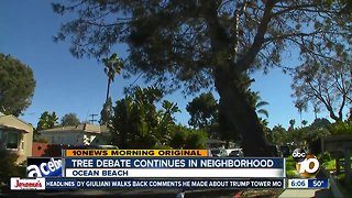 Debate over trees in Point Loma Heights, Ocean Beach rages on