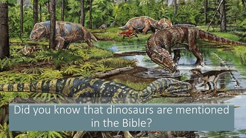 Dinosaurs & the Bible