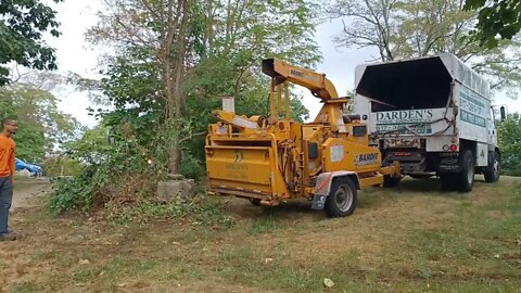 cutting down trees and setting up a mass climber