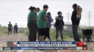 Family Harvest Farm helps former foster youth transition out of the foster system
