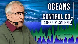 What Is the Relation Between CO2 and Global Temperatures? | Jan-Erik Solheim