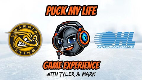 It was really buzzing in Sarnia :Sarnia Sting Game Experience