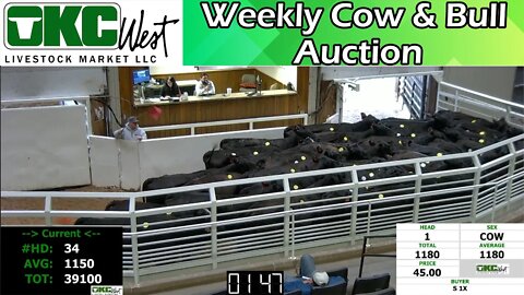11/14/2022 - OKC West Weekly Cow & Bull Auction