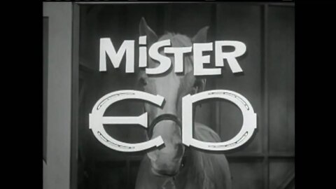 Mr Ed S1E2