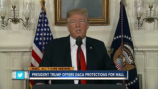 Trump will extend 'Dreamers' and TPS protection in exchange for full border wall funding