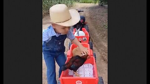 Little Man On The Farm Taking Care Of His Animals