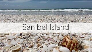 Florida Gulf Coast Beaches. Hunting seashells at Sanibel Lighthouse Beach.