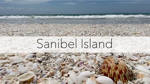 Florida Gulf Coast Beaches. Hunting seashells at Sanibel Lighthouse Beach.