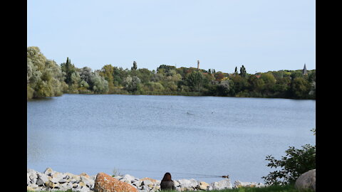 The Biesdorfer Bagger Lake in Berlin, Germany.