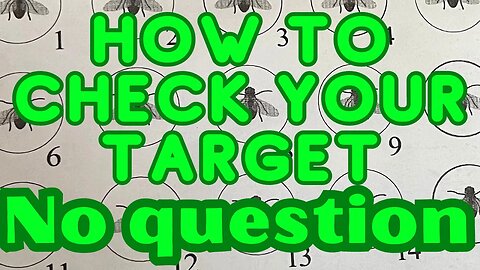 Easy Way to Check your Fly Swatter Target 100% NO QUESTIONS ABOUT IT!!!!