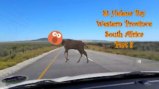 St Helena Bay Part 3 | South Africa | Western Province | Day Trip | Let the road guide us