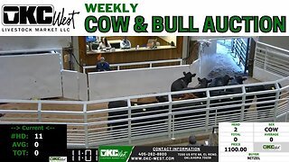 1/23/2023 - OKC West Weekly Cow & Bull Auction