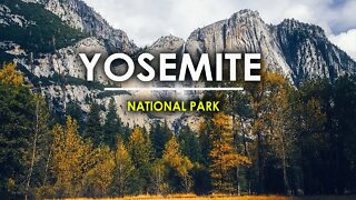 YOSEMITE NATIONAL PARK TRAVEL GUIDE -HD | VACATION | TOUR GUIDE | NATURAL BEAUTY