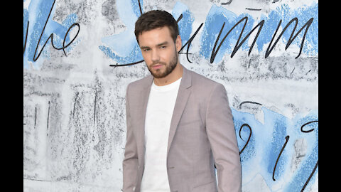 Liam Payne says he and Robbie Williams are similar