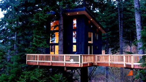 Beautiful and comfortable tree house! With a modern concept and luxurious interior