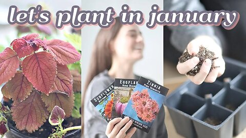 Seed Haul & Starting Them Indoors! | 🌱 Therapeutic Gardening Vlog #1 | Let's Talk IBD