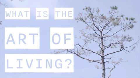 The Art of living | amihai.substack.com | Art of Now